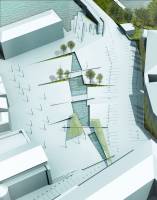 FLAVIO BORRELLI - BORRELLI FLAVIO